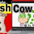 Beste Cash Cow Cursus? Review met Ervaringen & Tests!